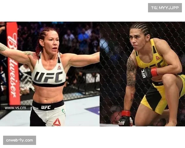 前UFC选手“机械兽”贾斯蒂诺就涉嫌袭击他人指控达成和解协议